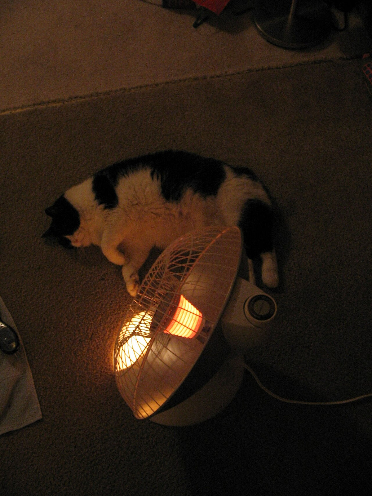 Ceramic Space Heater, 1500W with Thermostat